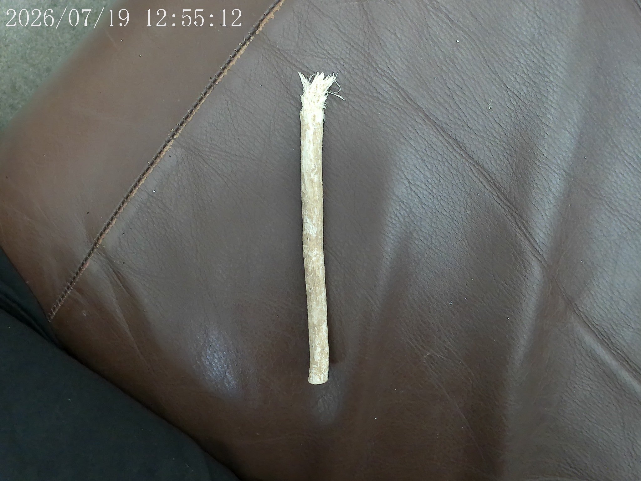 Dired Miswak - The Best Enviromentally Friendly Natural Toothbrush & Toothpaste Together