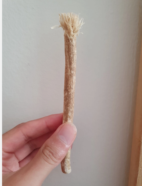 Dried Miswak - The Best Enviromentally Friendly Natural Toothbrush & Toothpaste Together