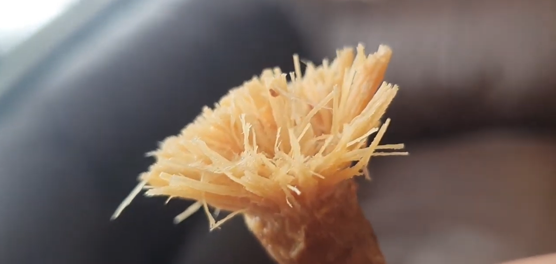 Dried Miswak - The Best Enviromentally Friendly Natural Toothbrush & Toothpaste Together