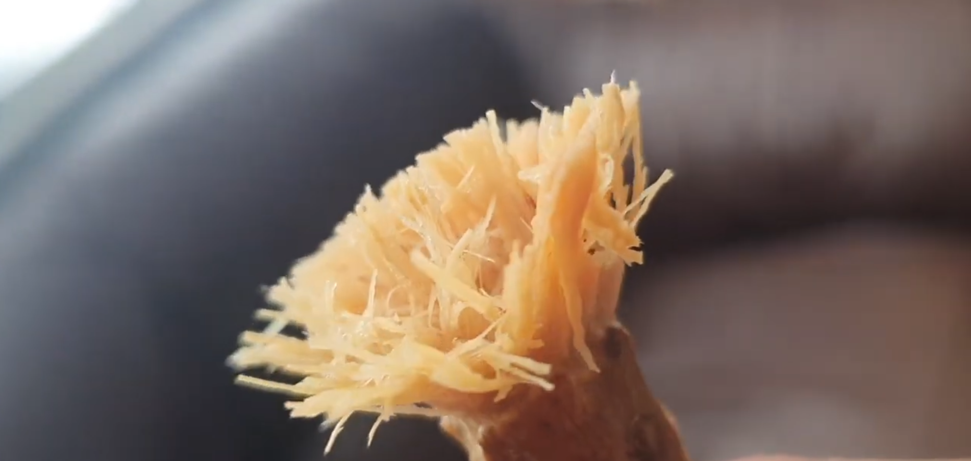 Dried Miswak - The Best Enviromentally Friendly Natural Toothbrush & Toothpaste Together