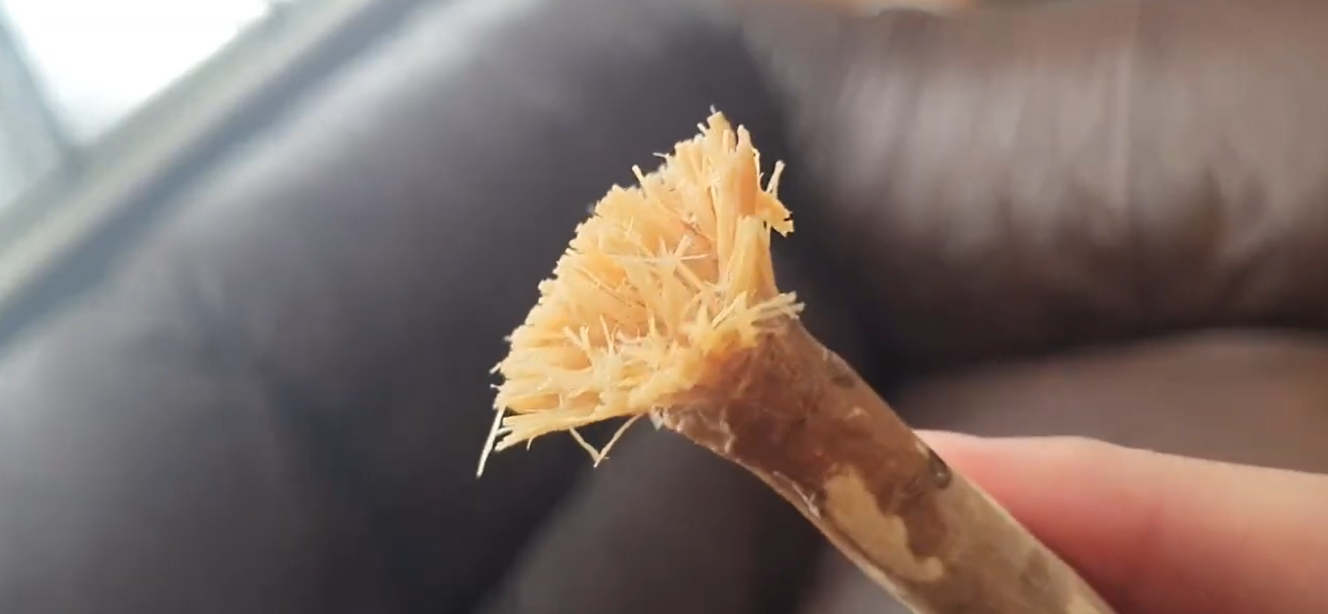 Dried Miswak - The Best Enviromentally Friendly Natural Toothbrush & Toothpaste Together