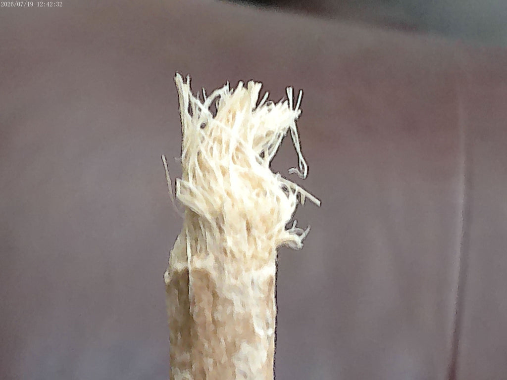 Dired Miswak - The Best Enviromentally Friendly Natural Toothbrush & Toothpaste Together