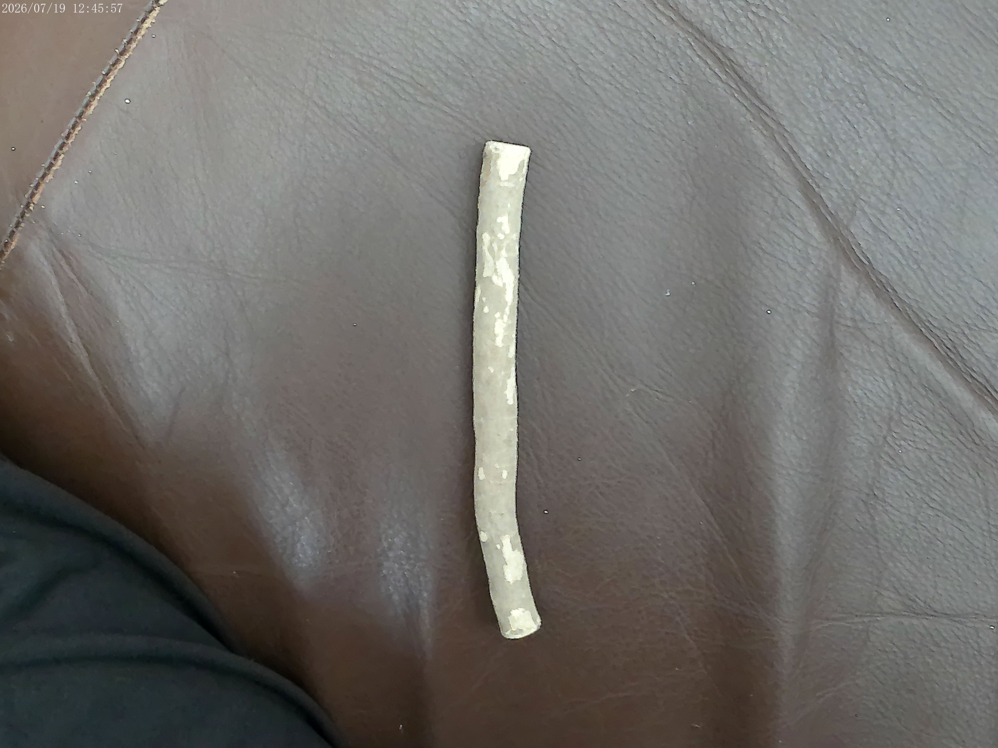 Dired Miswak - The Best Enviromentally Friendly Natural Toothbrush & Toothpaste Together